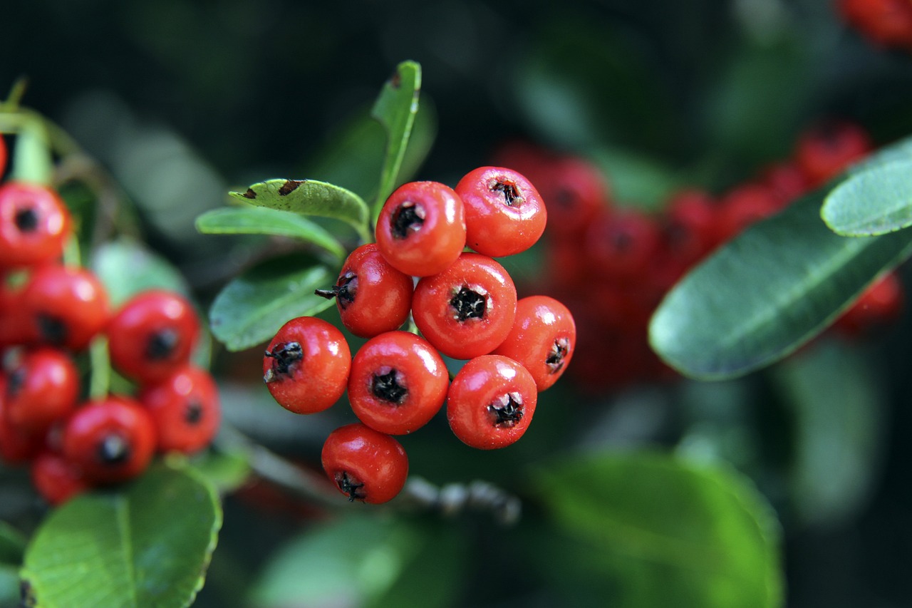 反击能力 反击能力